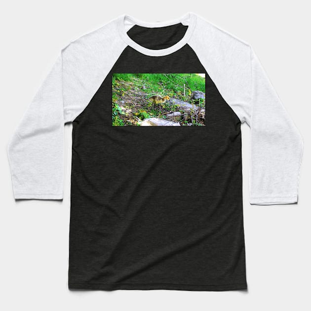 Canada Goose Gosling Walking Down a Small Hill Baseball T-Shirt by BackyardBirder